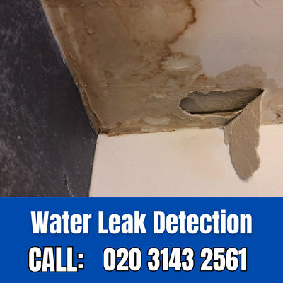 Expert Water Leak Detection Services in Canning Town | Canning Town Leak Detection